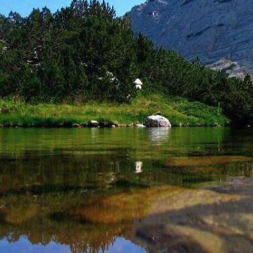 Ang buong mundo ay nasa kapaligiran proteksyon limitasyon plastic, malaking tatak ay kamakailan-lamang na ginawa kung ano ang mga bagong pagbabago?