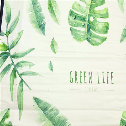 Ang mga departamento ng proteksyon sa kapaligiran ay aktibong nagsasagawa ng 