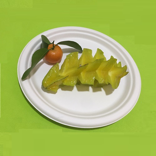 Eco friendly na pinggan