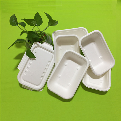 benepisyo ng bagasse tableware