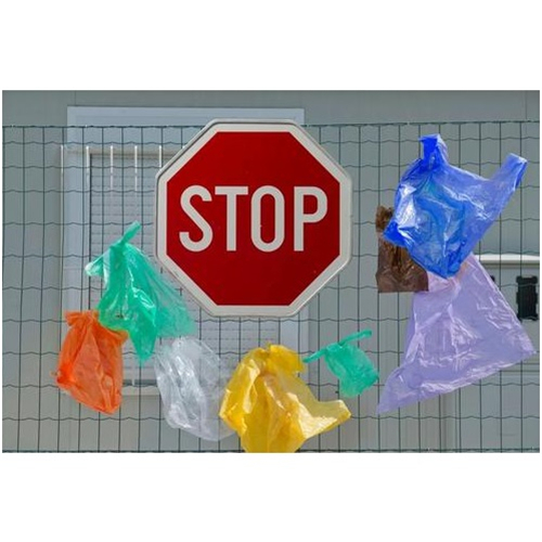 Ipagbawal ng China ang ad restrict na paggamit ng disposable plastic