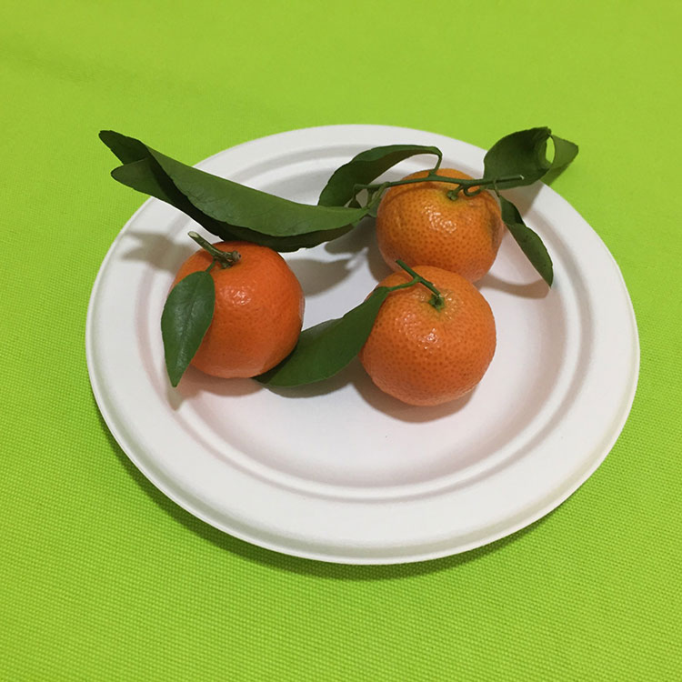 Naghahanda ang Russia na ipagbawal ang mga single-use plastic dish at cutlery