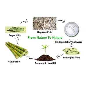 Ang bio tableware ay malawakang gagamitin sa ating pang-araw-araw na buhay