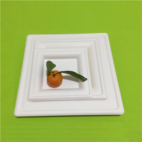 bagong inaalok na pag-update ng bio plate para sa darating na katapusan ng 2019