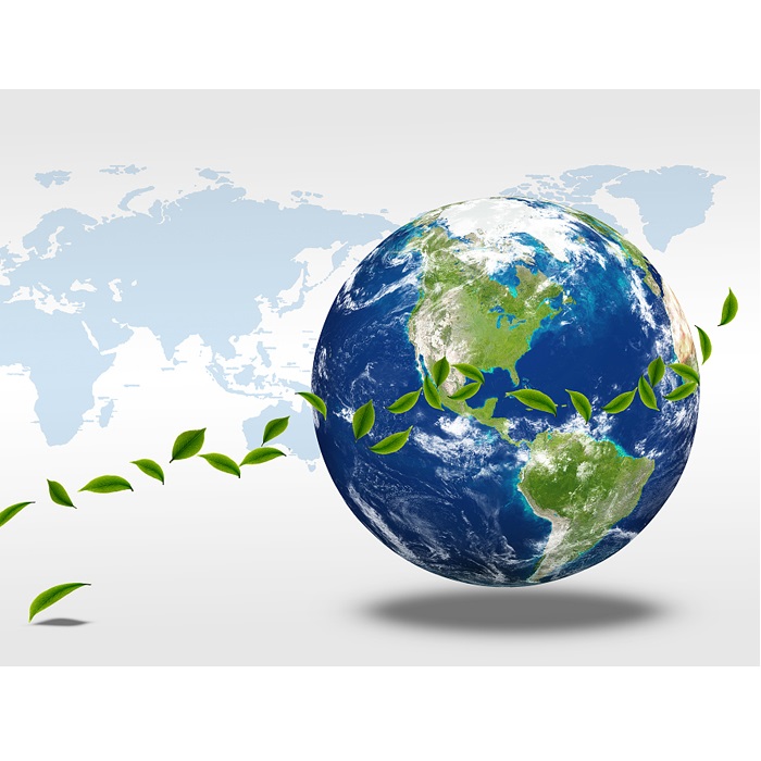 Regular na Pagpupulong