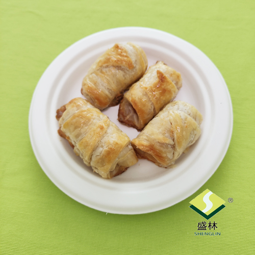 Naabot ng bagasse plate ng Shenglin Packaging ang isang layunin sa pagbili sa isang bagong customer