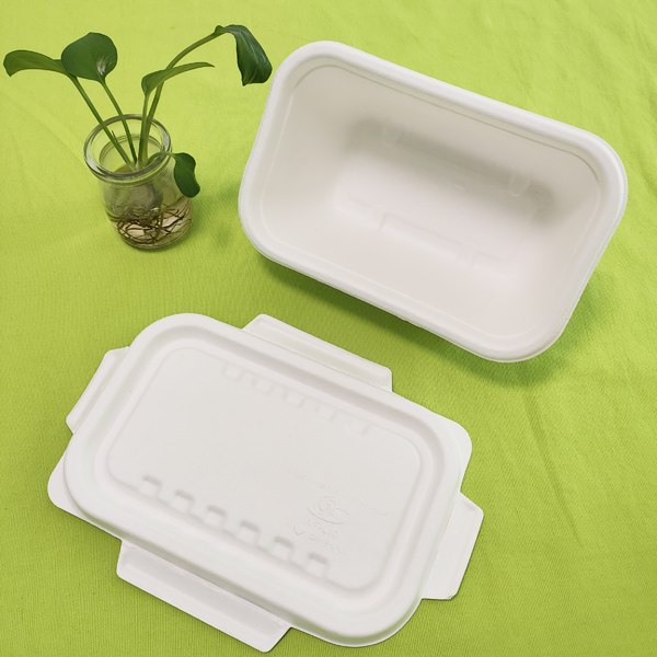 Ang Foreign Trade Department ng Shenglin Packaging ay nag-organisa ng isang kumperensya sa pagpapalitan ng kaalaman sa bagasse tableware