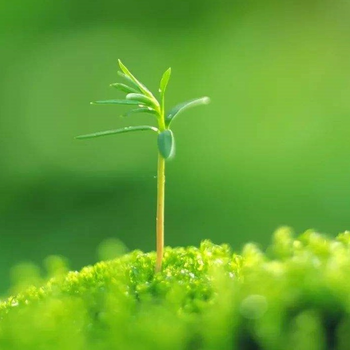 Limitado sa plastik sa Xiamen, China