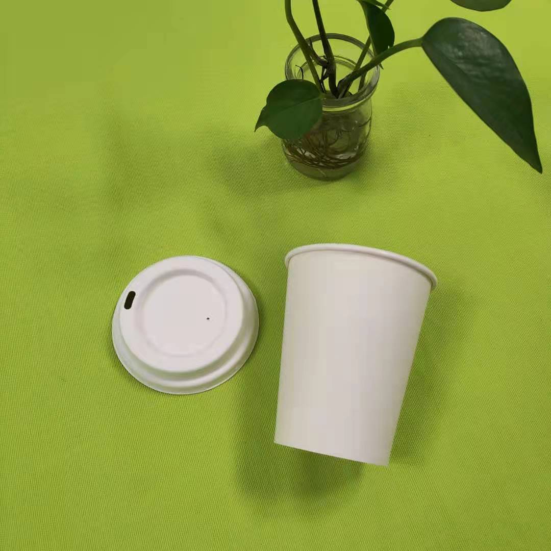 karagdagang impormasyon tungkol sa bagasse pulp tableware