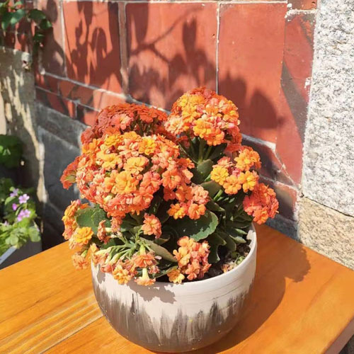 Maligayang Pandaigdigang Araw ng Kababaihan