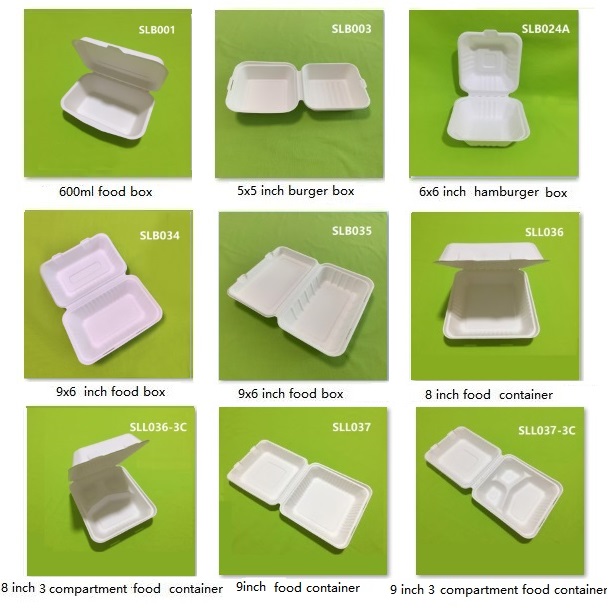 eco bagasse paper clamshell box