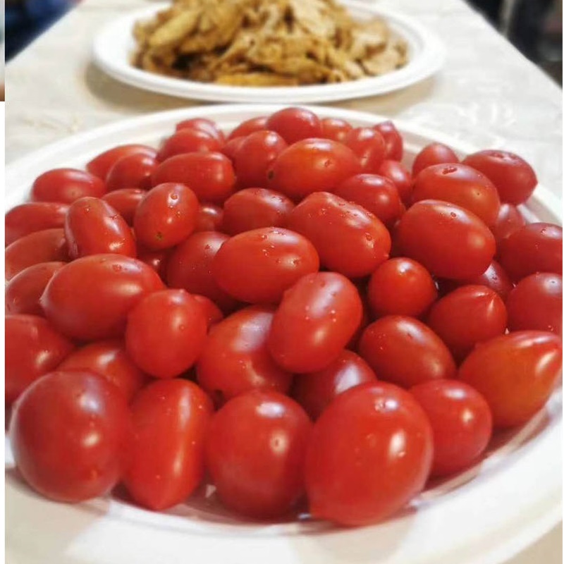 Fiber Pulp Bagasse Tableware Plate