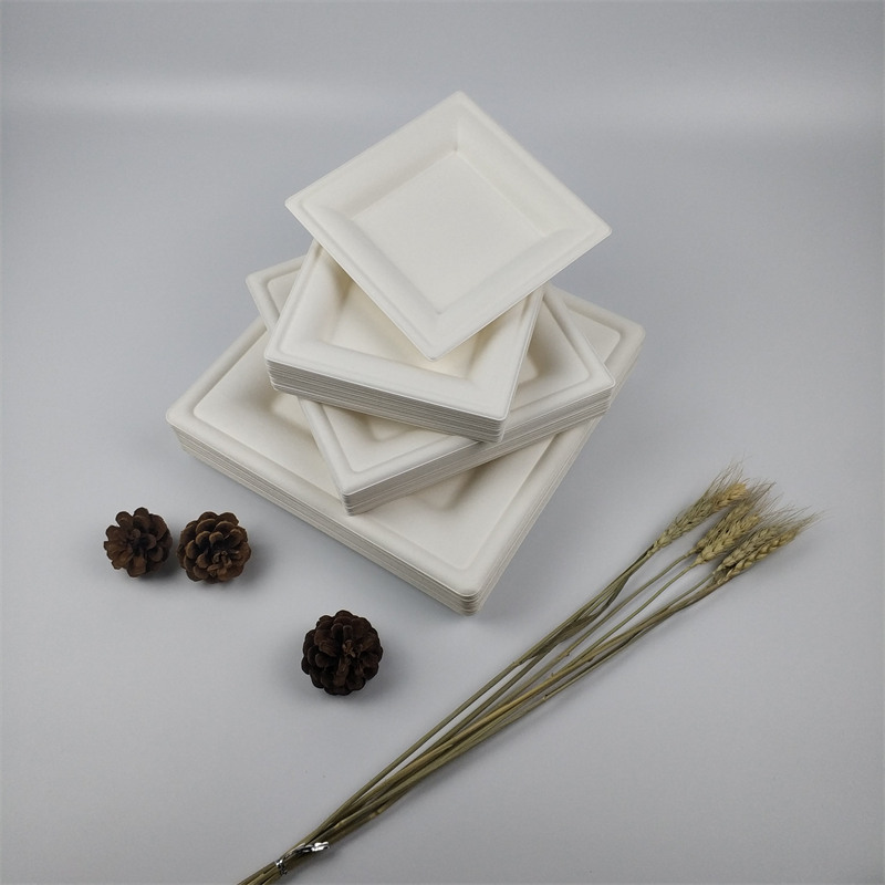 Premium Quality Classical Dessert Square Plate